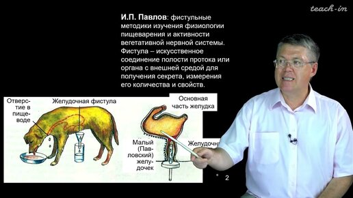 Дубынин В. А. - 100 часов школьной биологии - 1.24. Обучение и память