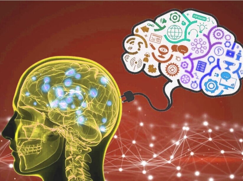 Brain 2. Сила мозга.