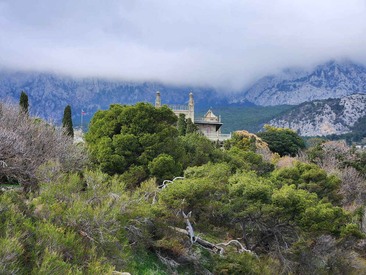 Алупка Крым сады виноградники