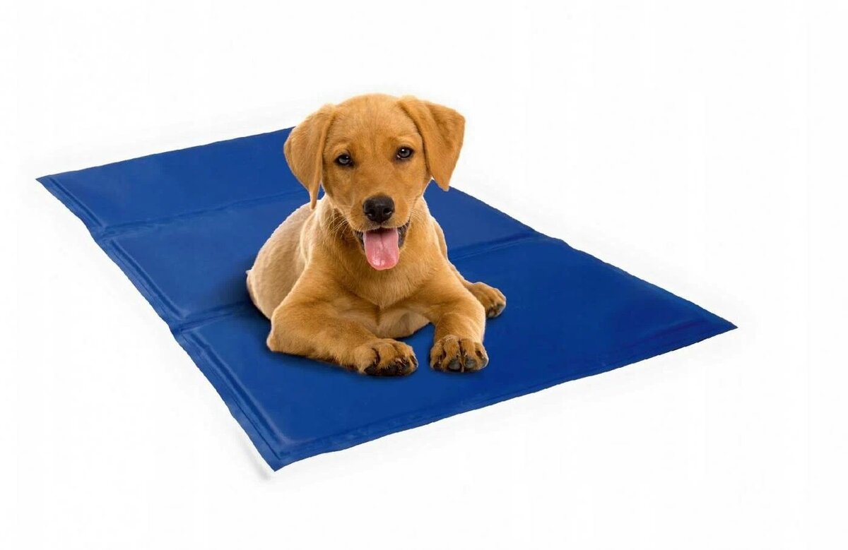 Коврик для охлаждения собаки