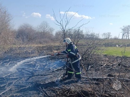     Фото: ГУ МЧС РФ по Курской области