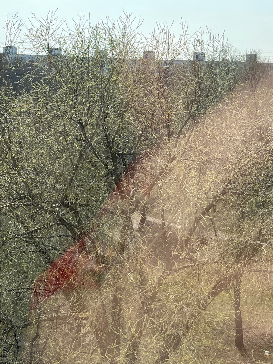 Фото автора. Из окна палаты.