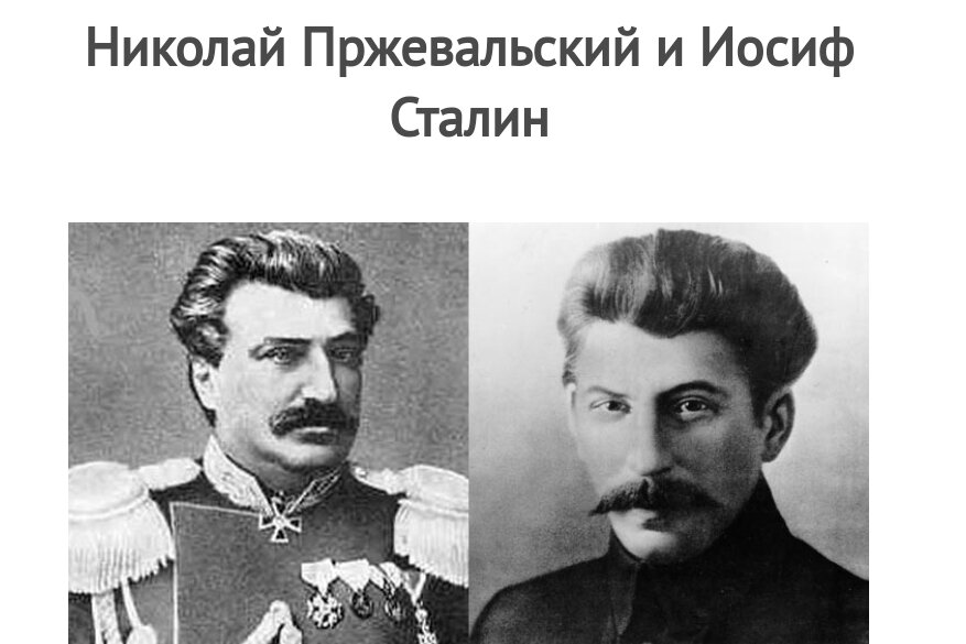 Пржевальский годы жизни. Пржевальский Николай Михайлович. Пржевальский и Сталин.