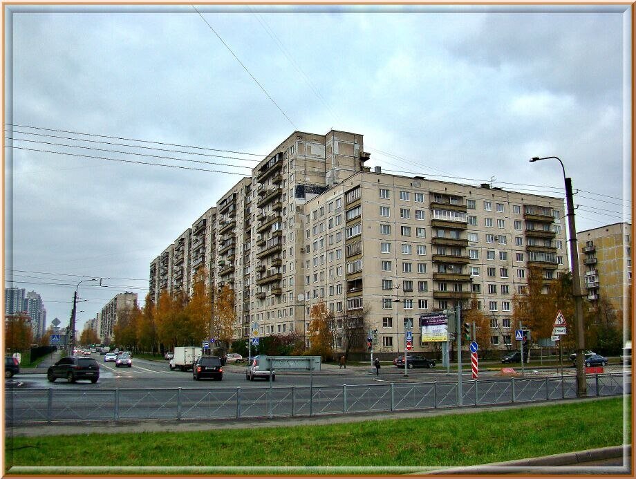    Фото: an812.ru