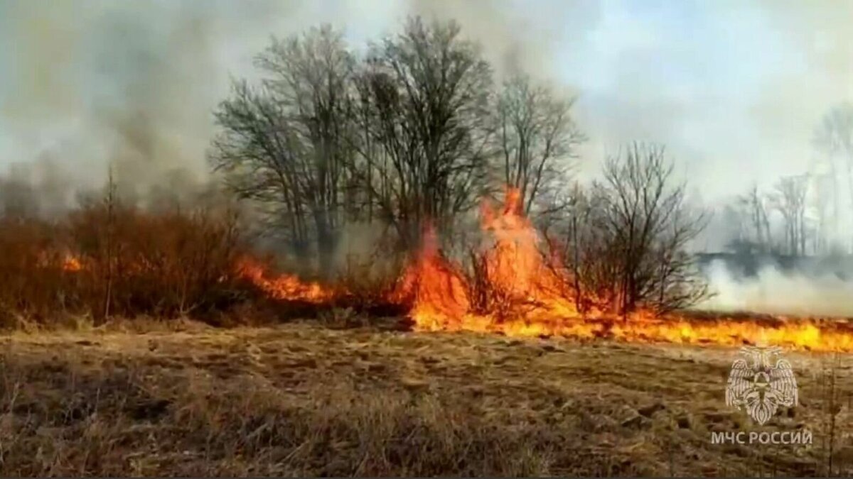     Пожарные в Камбарском районе ликвидируют крупный ландшафтный пожар у берегов реки Буй. Сообщение о возгорании поступило 12 апреля около 15 часов.