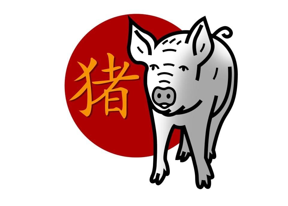 Свинья, занимающая последнее место в списке 12 животных китайского зодиака, является мягким и удачливым животным. Год свиньи является воплощением беззаботного веселья, удачи и богатства.
