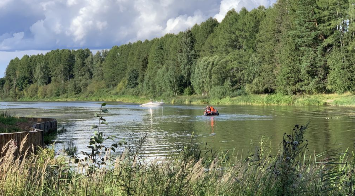 Мостики Истринское водохранилище