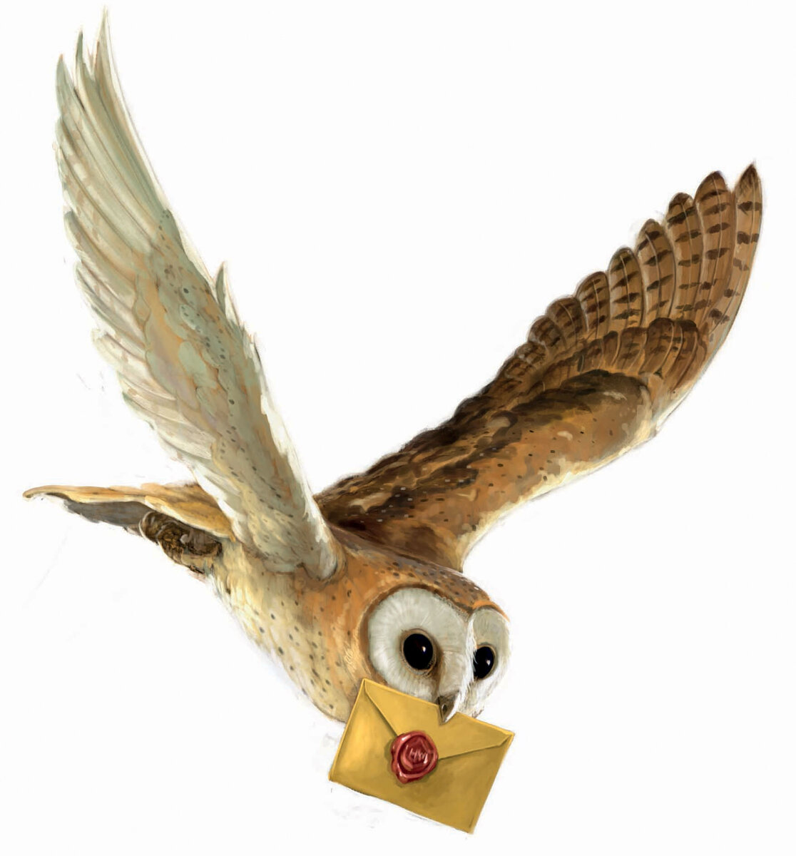 https://harrypotter.fandom.com/wiki/Owl
