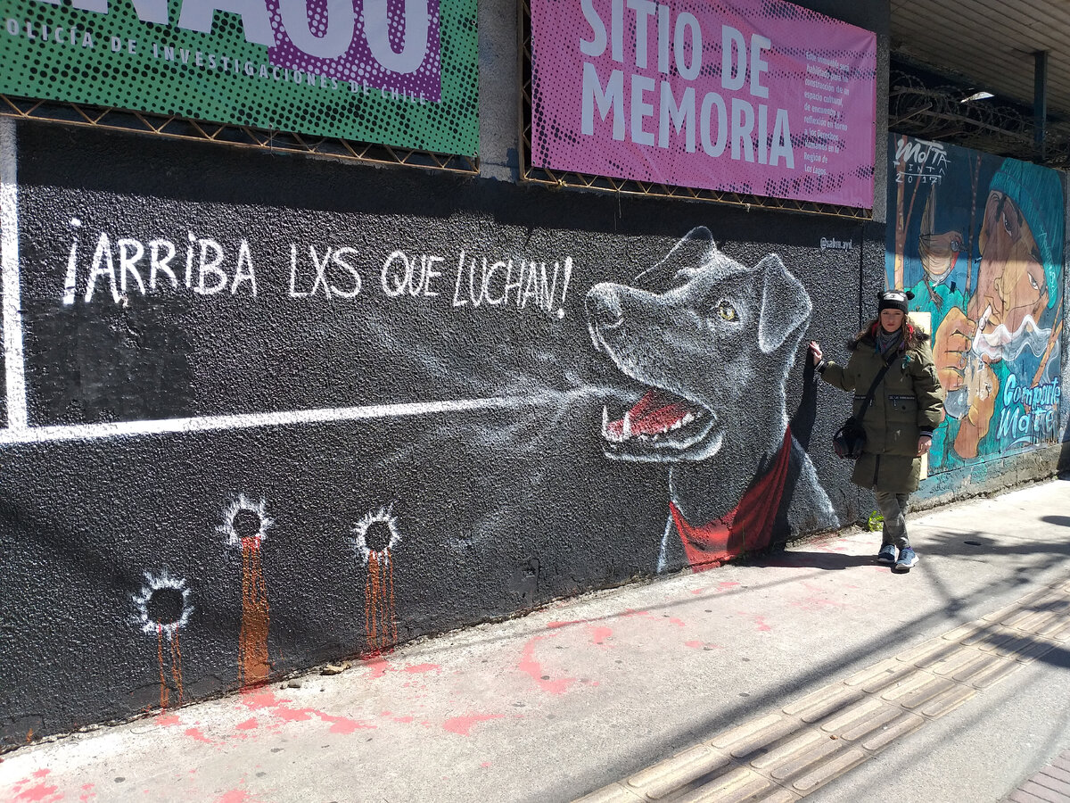 Я Ксения, автор каналов "Индейская жена" и "Принцесса мапуче" в Чили на фоне собаки Матапако - символа протестов