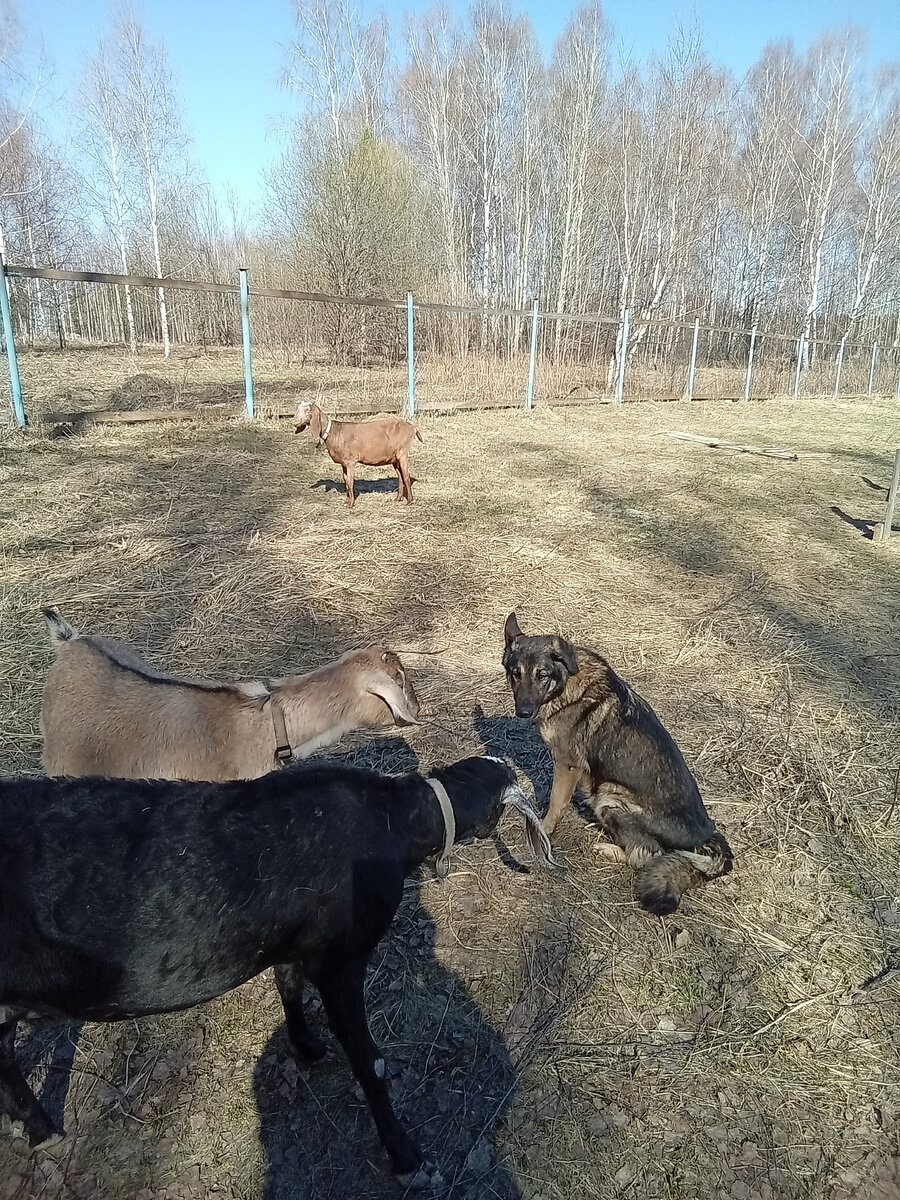 Фото автора. 