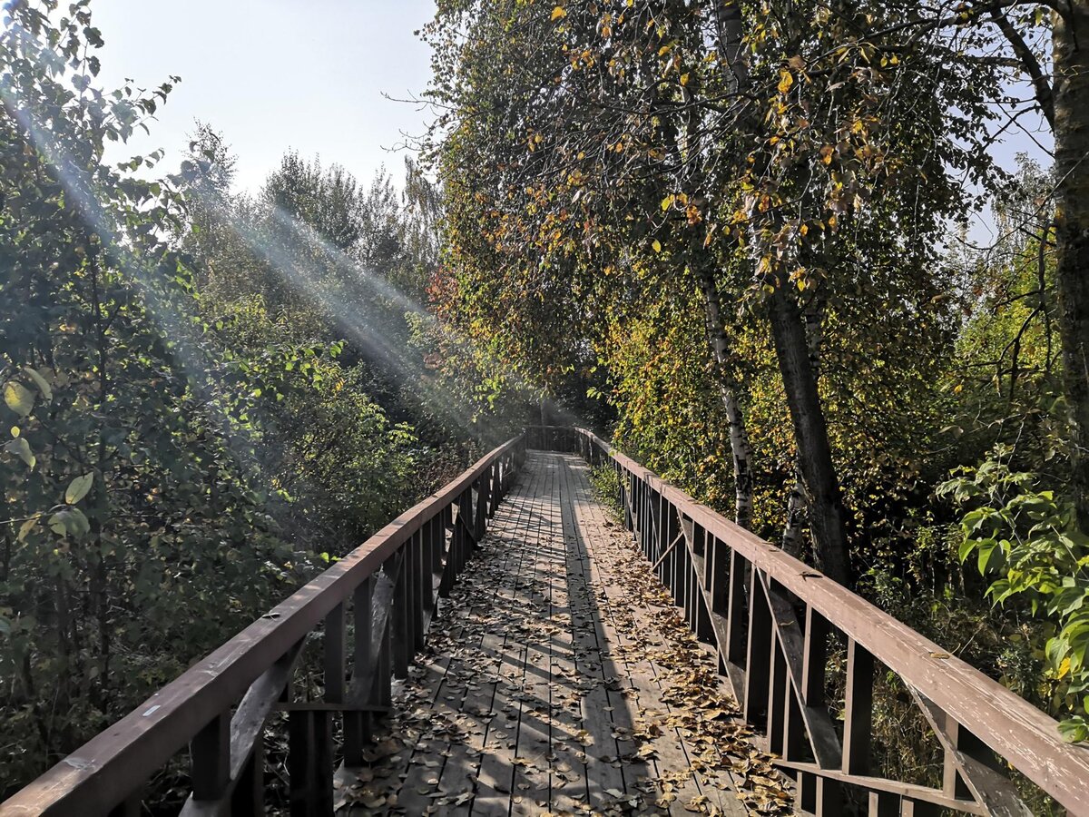 Фото парка из архива