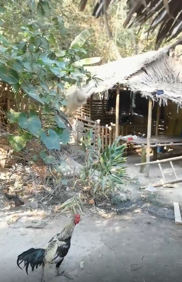 С Божьей помощью