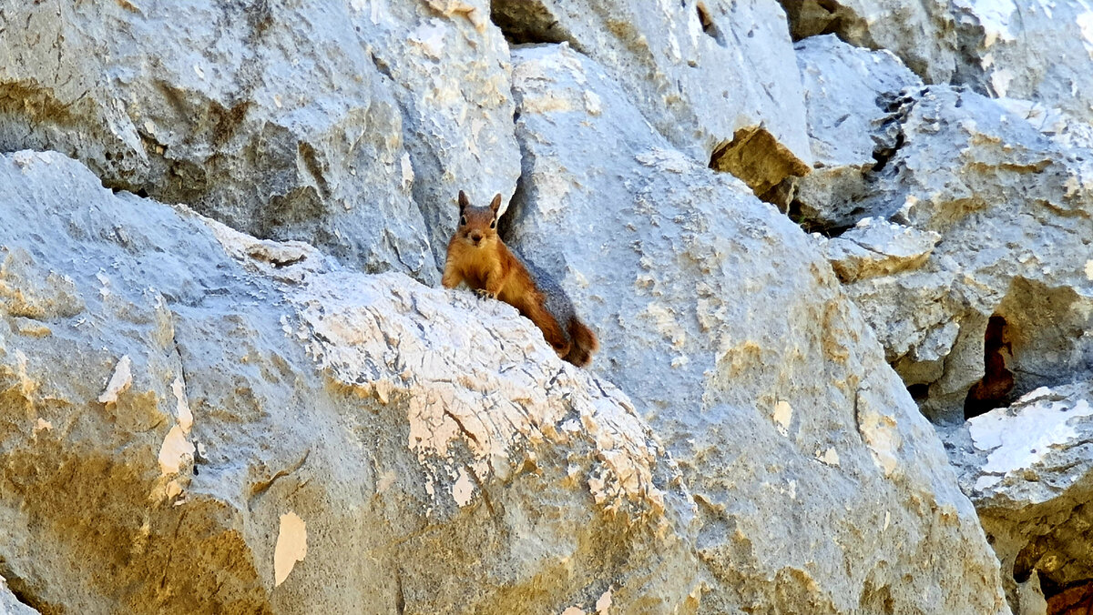 Основная стена Деликкимера. Высота 12 метров в высшей точки. Турция 2021