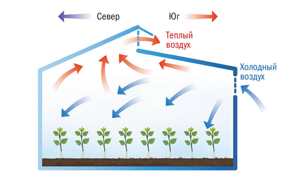 Теплица по митлайдеру схема