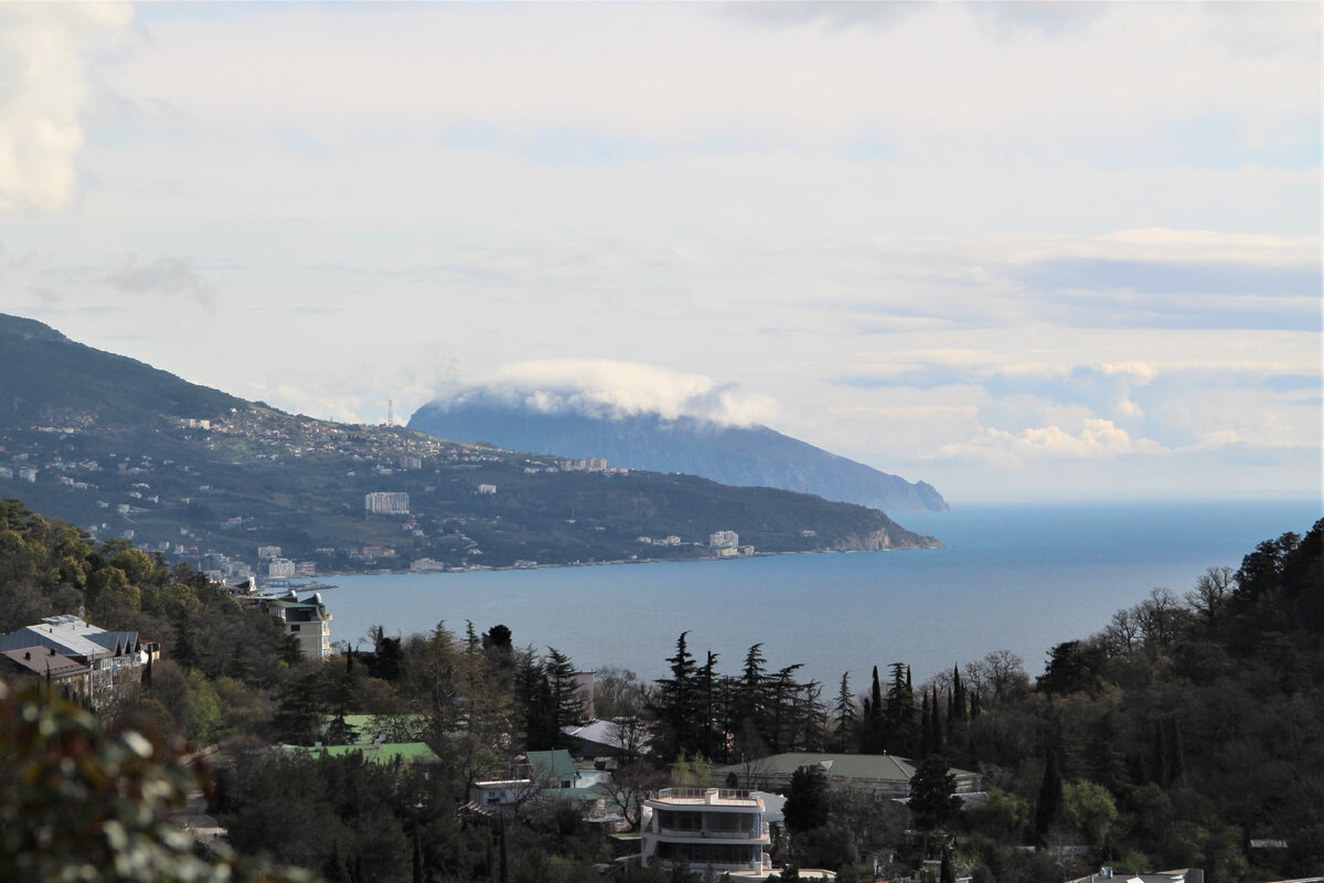 Мишка в шапке