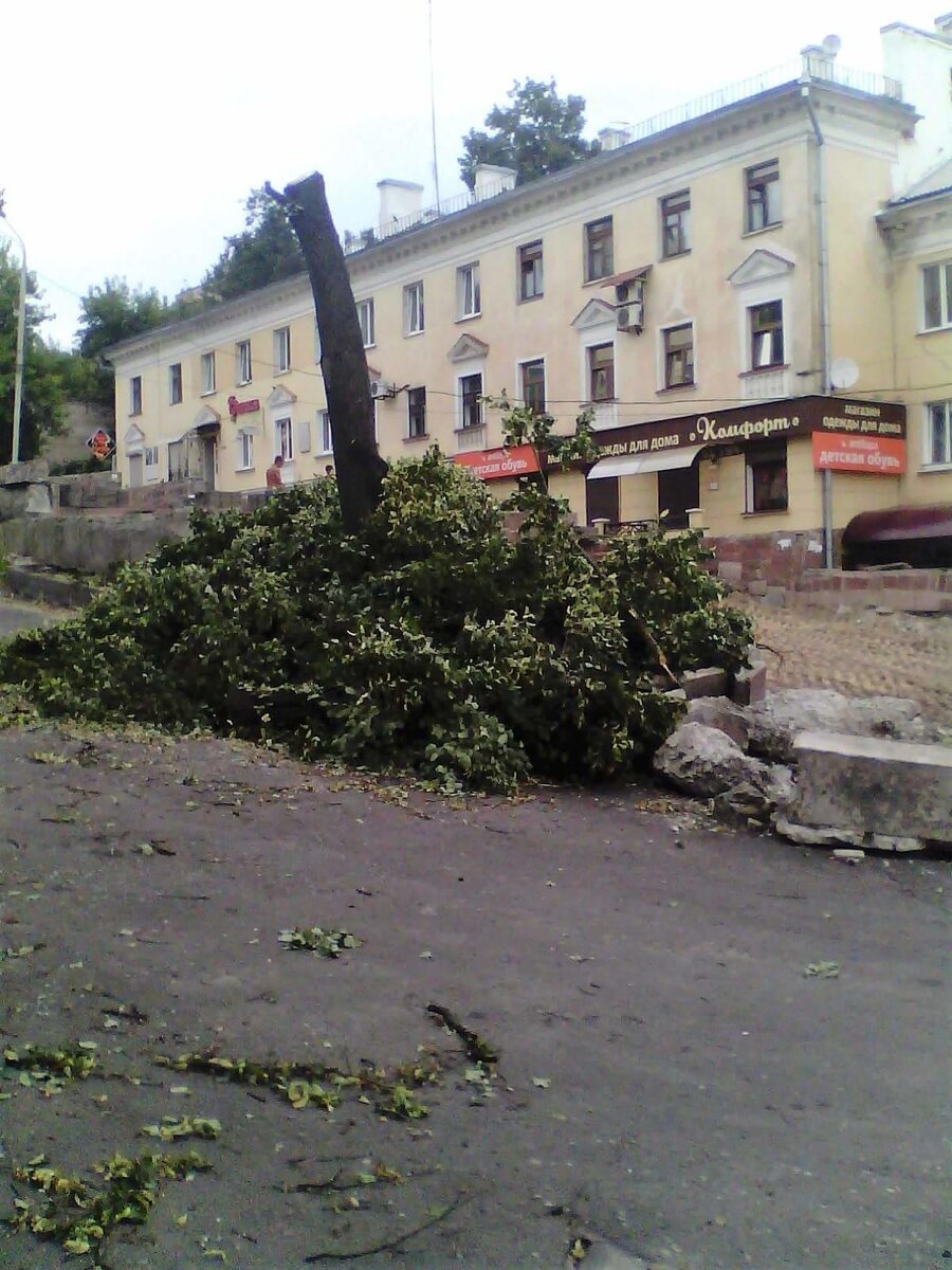    Брянцев пригласили к участию в варварском благоустройстве парков, скверов и мемориалов Брянской области avchernov