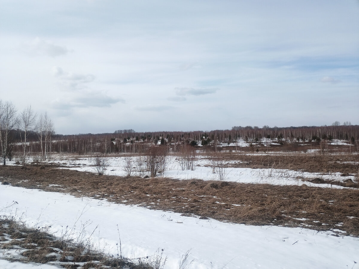 не паханные с 2000-х поля