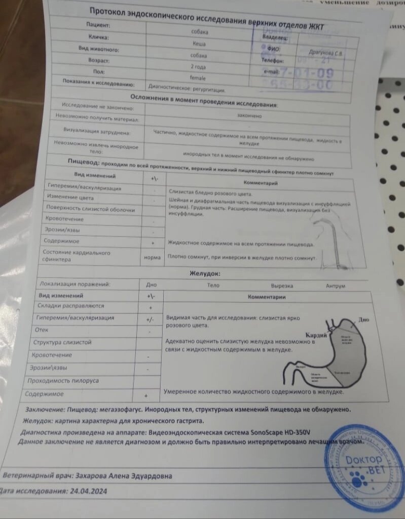 Протокол   эндоскопического  обследования верхних отделов ЖКТ 