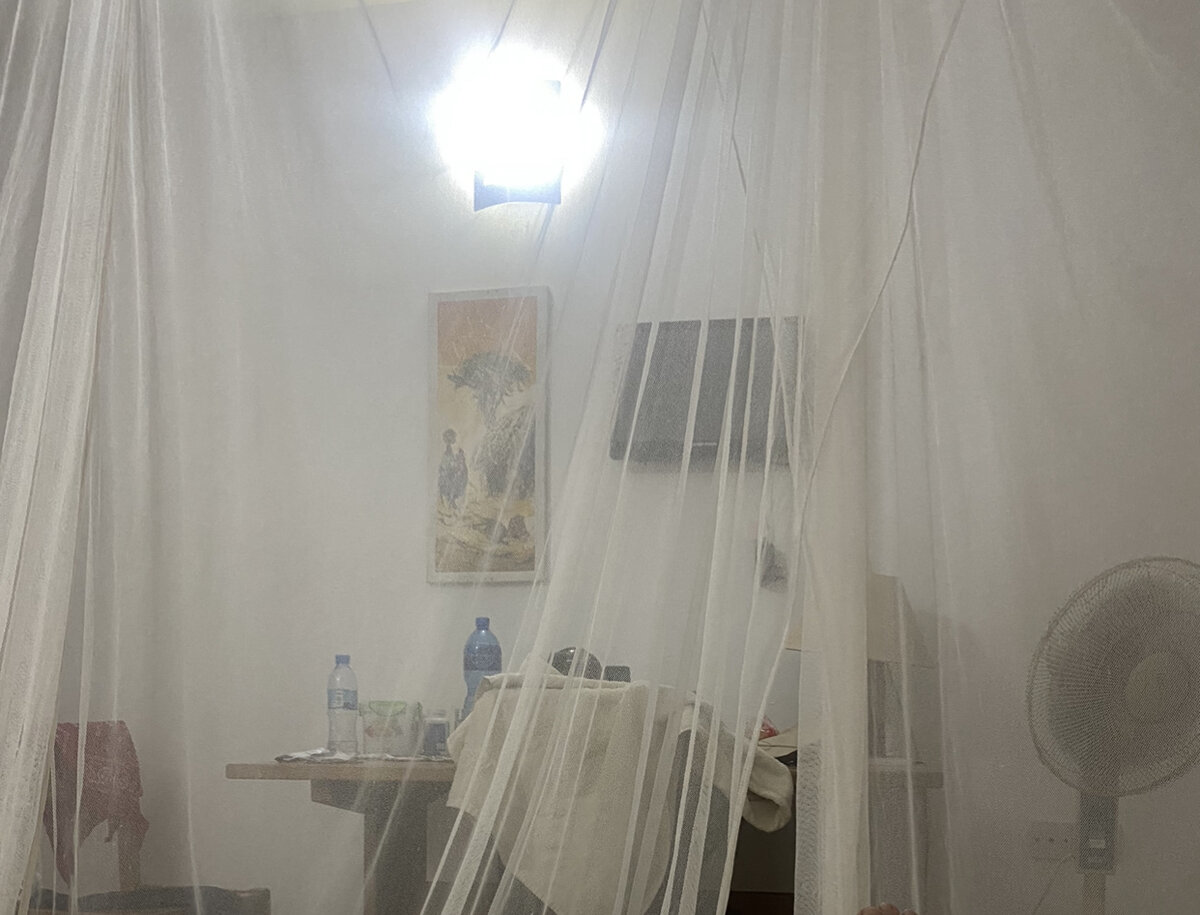 Доброе утро Африка 