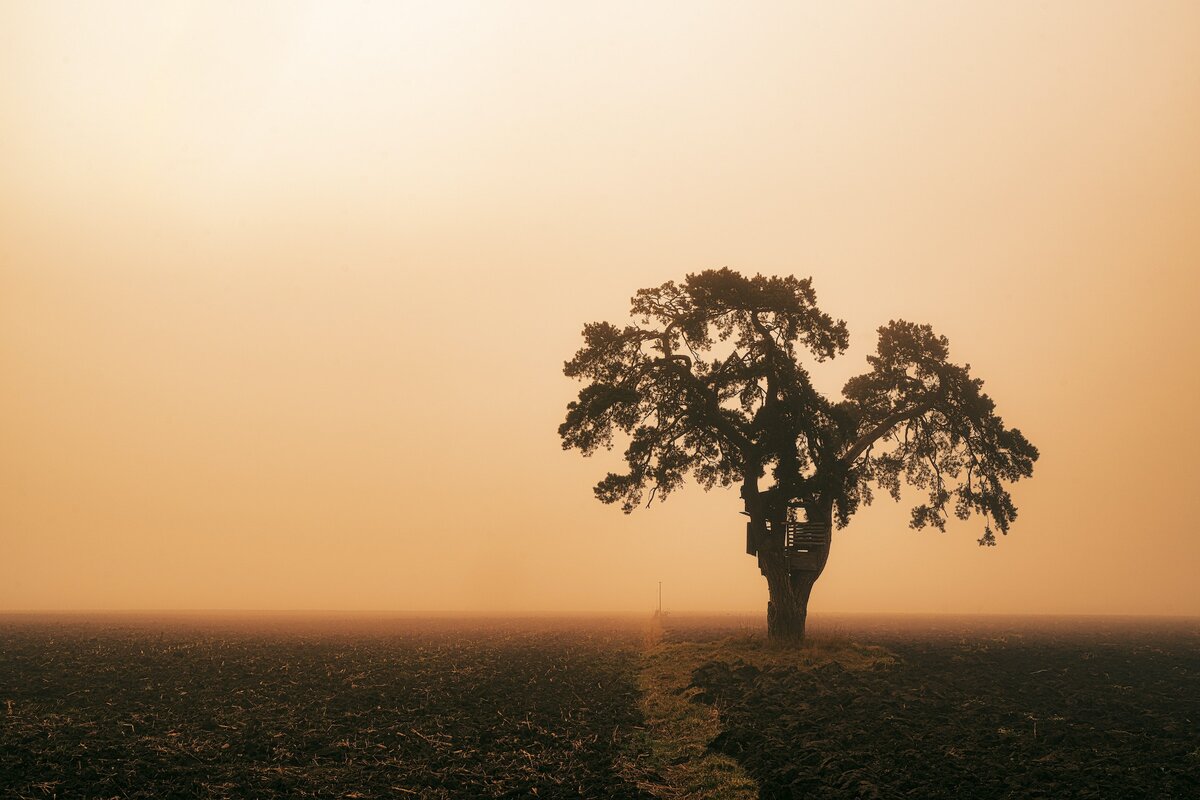 Фото с бесплатного фотоистока https://unsplash.com, автор Asif Abbas