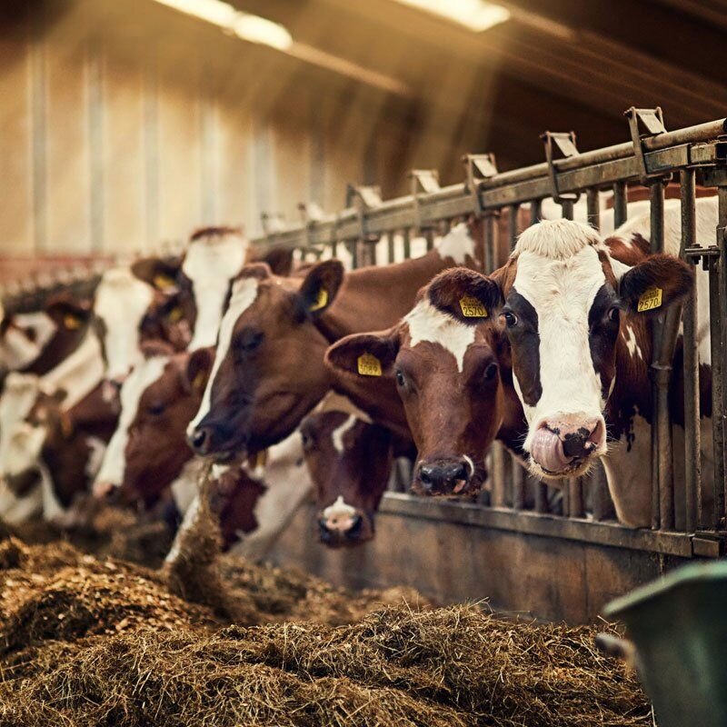 Ставьте лайк, если вам понравилась публикация. Подписывайтесь на канал и будьте в курсе отраслевых событий.