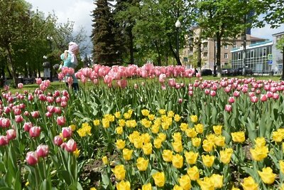    Клумбы и цветники в Подмосковье ©Пресс-служба министерства благоустройства Московской области