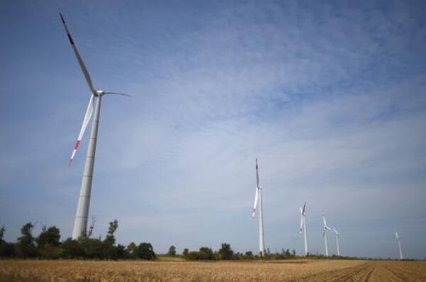 Источник фото: rostov.aif.ru