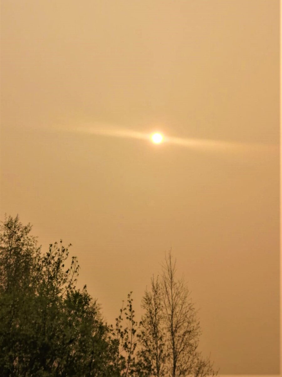 Вот в таком виде мы сейчас созерцаем солнышко! Время на фото около шести вечера.
