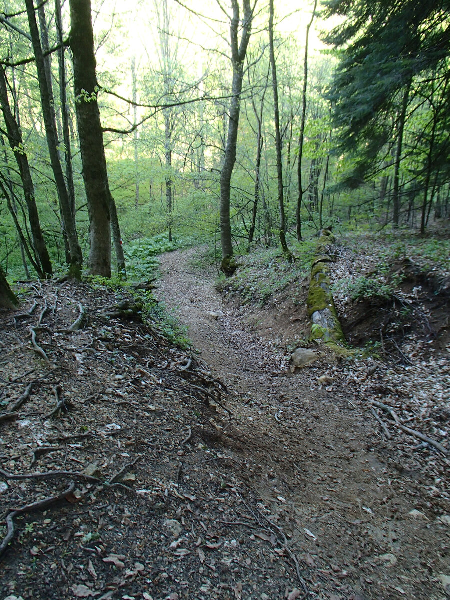 на такой тропинке точно не заблудишься))