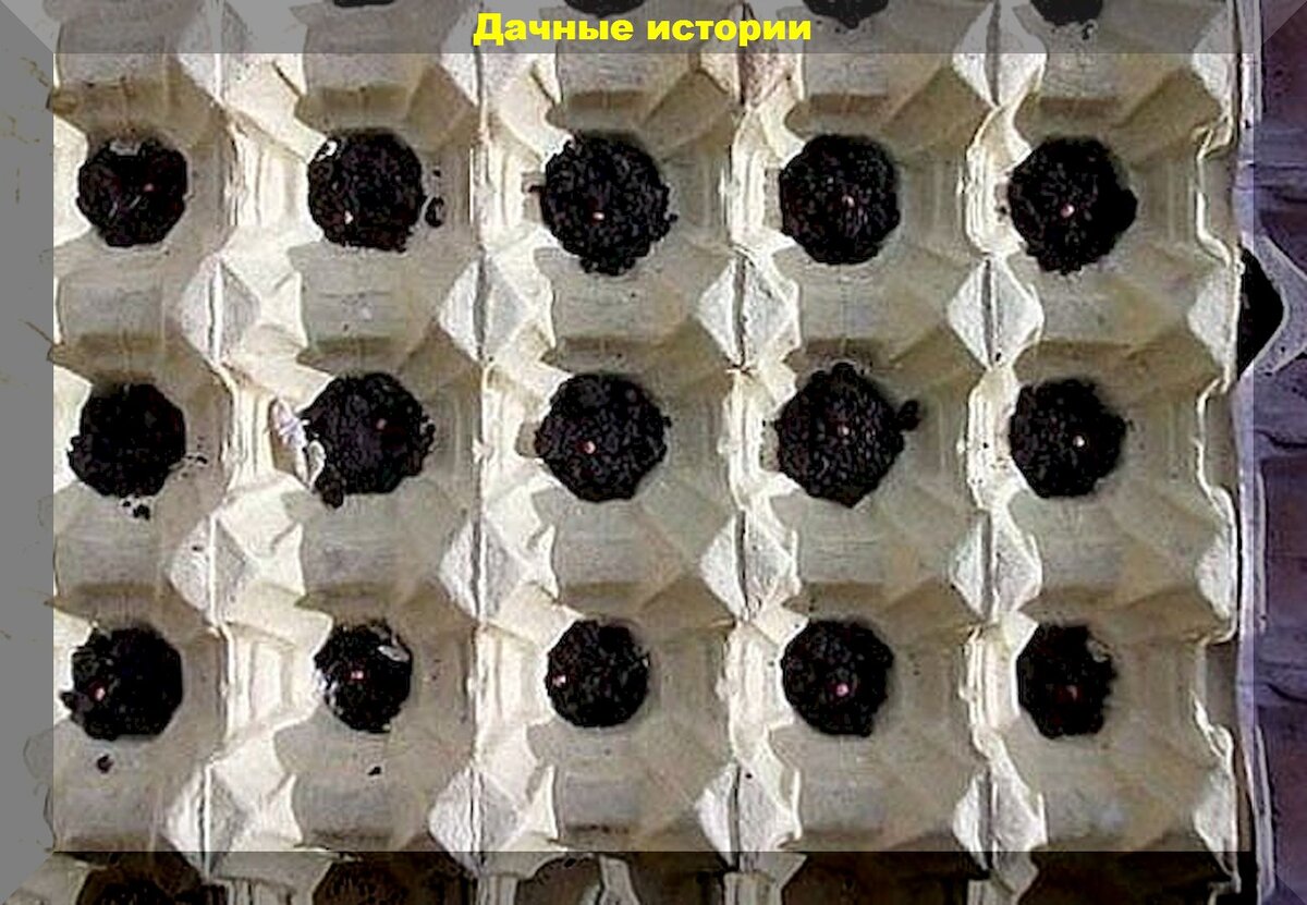 https://vk.com/photo-159774511_457260263