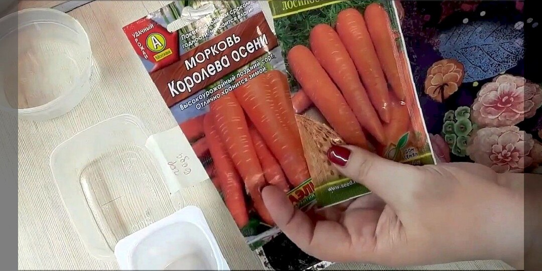Правильный посев моркови для отличного урожая: сроки и правила посева, способы посева моркови без прореживания всходов