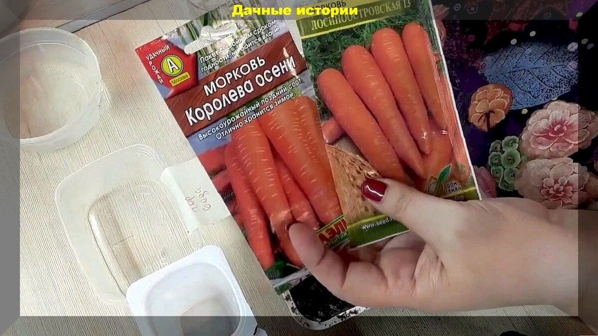 Правильный посев моркови для отличного урожая: сроки и правила посева,  способы посева моркови без прореживания всходов | Дачные истории | Дзен