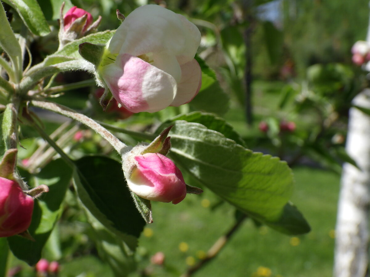 фото автора канала