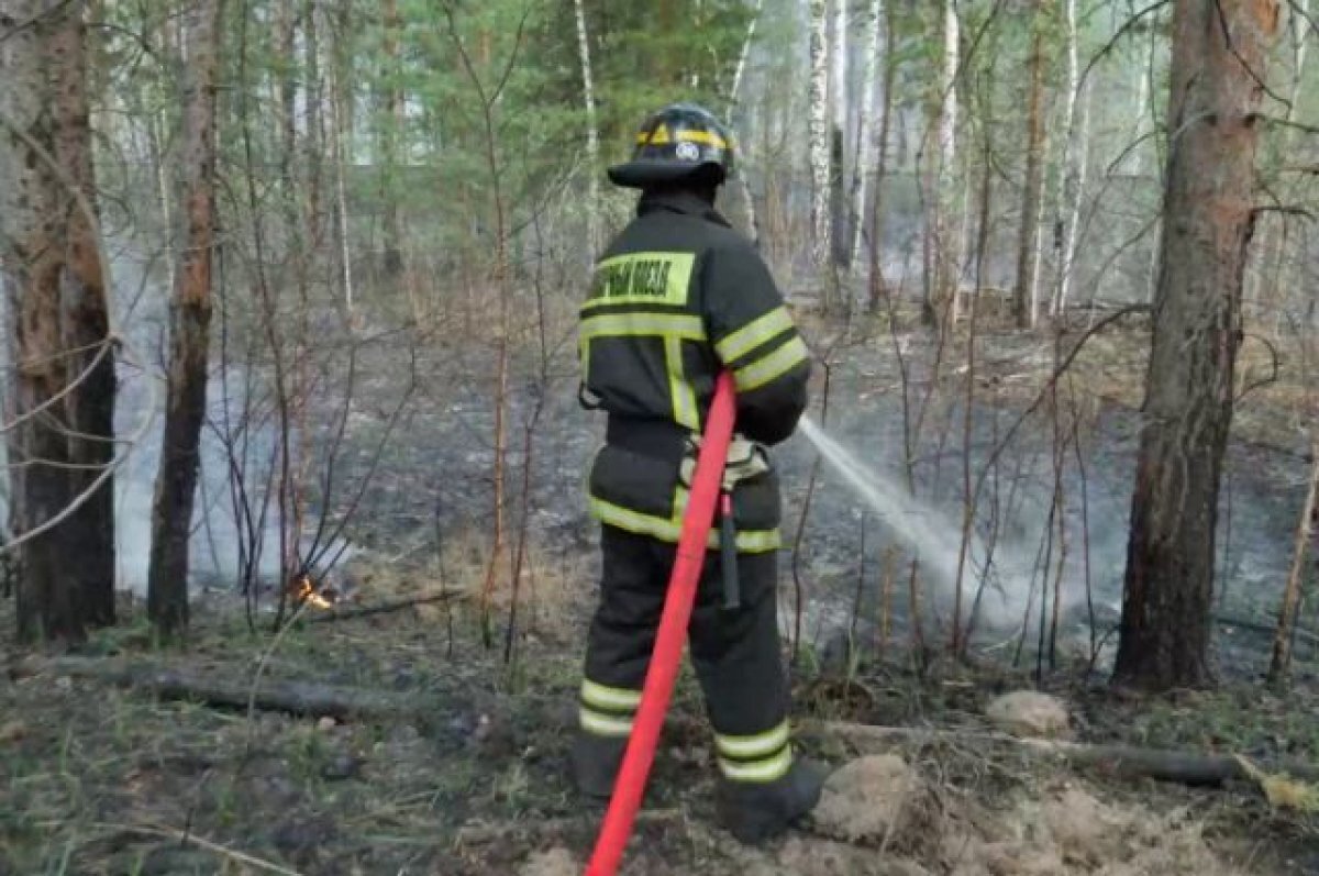    Пожарные поезда СвЖД активно борются с природными пожарами на Урале