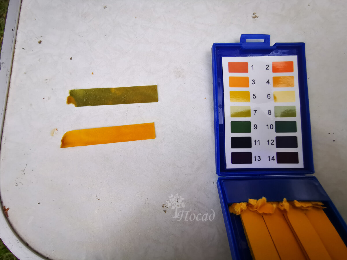 Верхняя полоска - отстоянная колодезная вода до подкисления, нижняя - после подкисления для АЦИДОФИЛОВ.