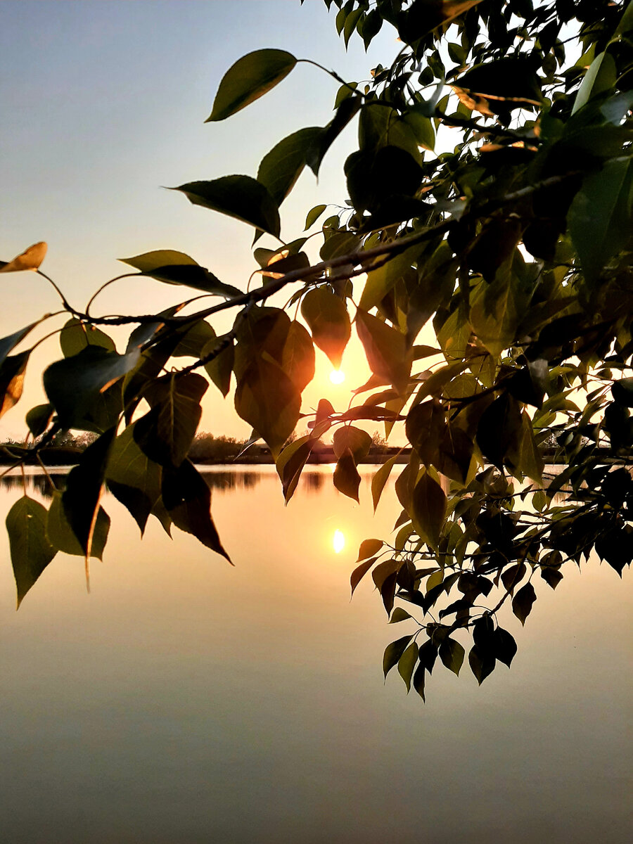 Природа во всей своей красе