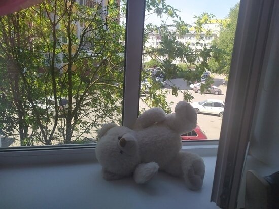 ФОТО: МК В ВОЛОГДЕ 