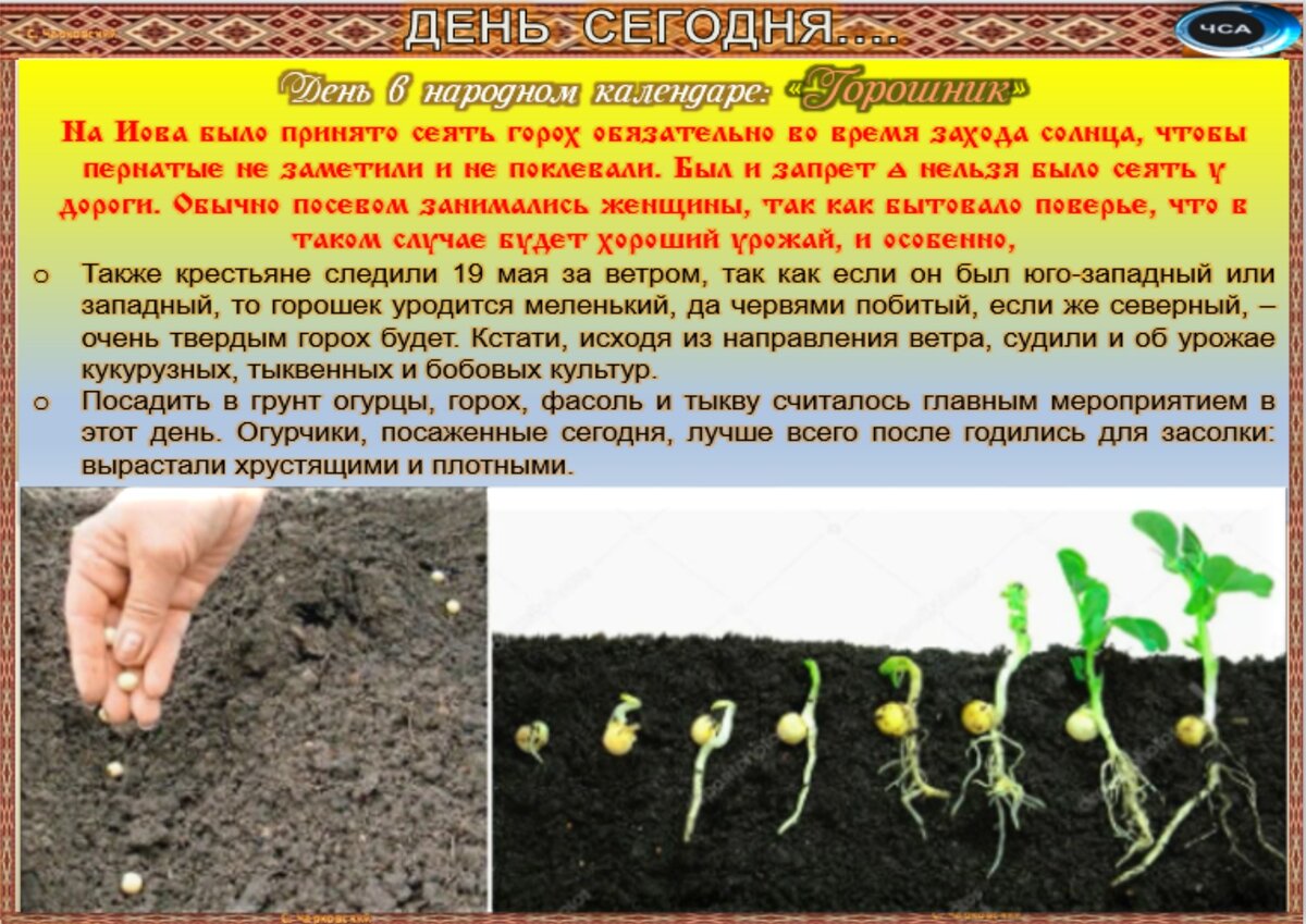 Встречаем новый день