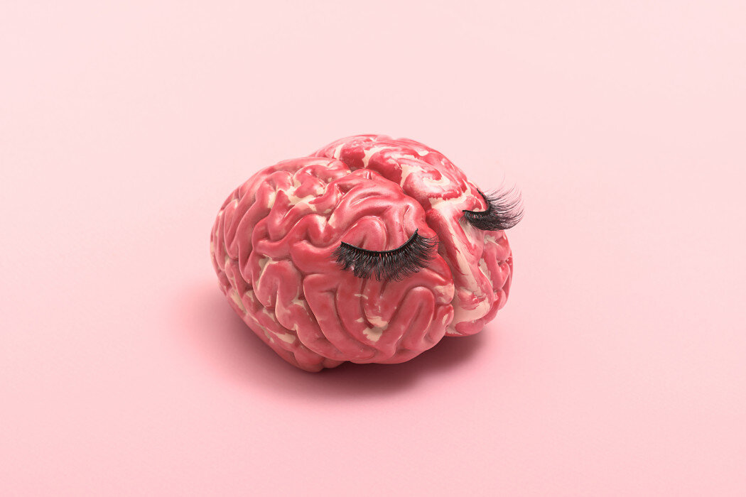 Старый новый мозг. Мозг розовый. Пинк д. "новый мозг".