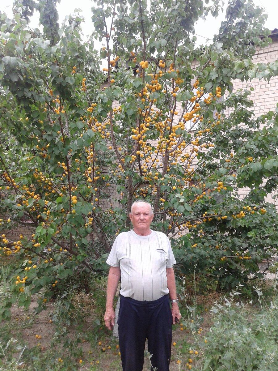 Отец, которого уже с нами нет