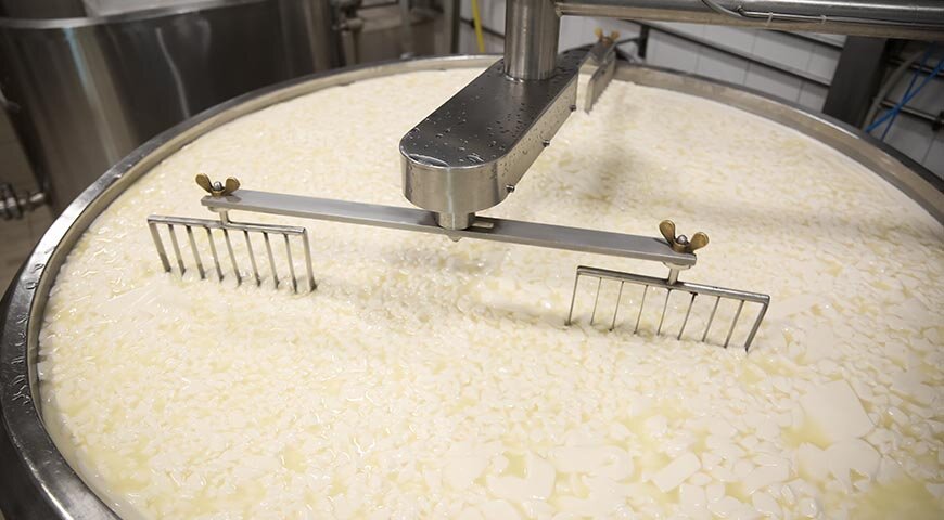Главные ингредиенты для приготовления сыра – молоко, закваска и ферменты
