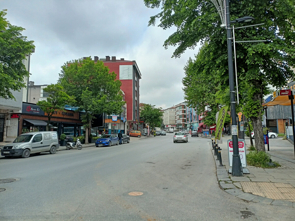 Общий вид центральной улицы, по которой едут автобусы к метро. Хороший зеленый район со множеством заведений по всему протяжению улицы. 