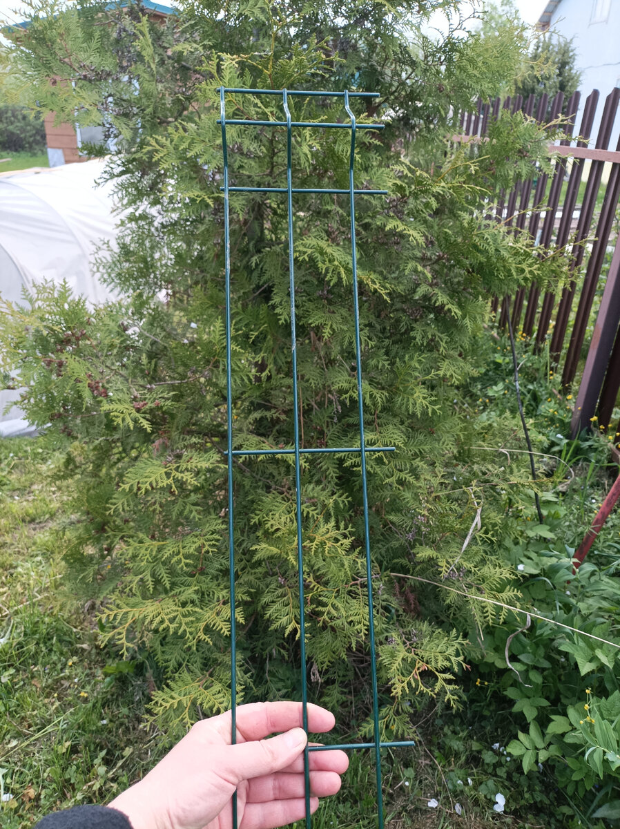Опора для растений своими руками из 3д сетки для забора
