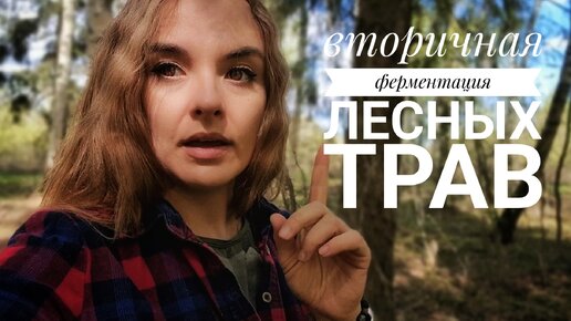 Вторичная ферментация лесных трав: полезно и очень вкусно!