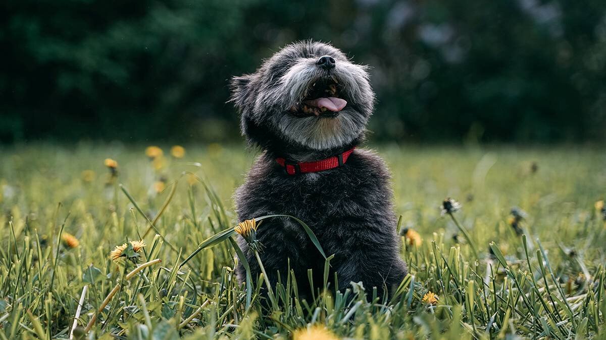    Фото: Анна Темнышова / Вечерняя Москва