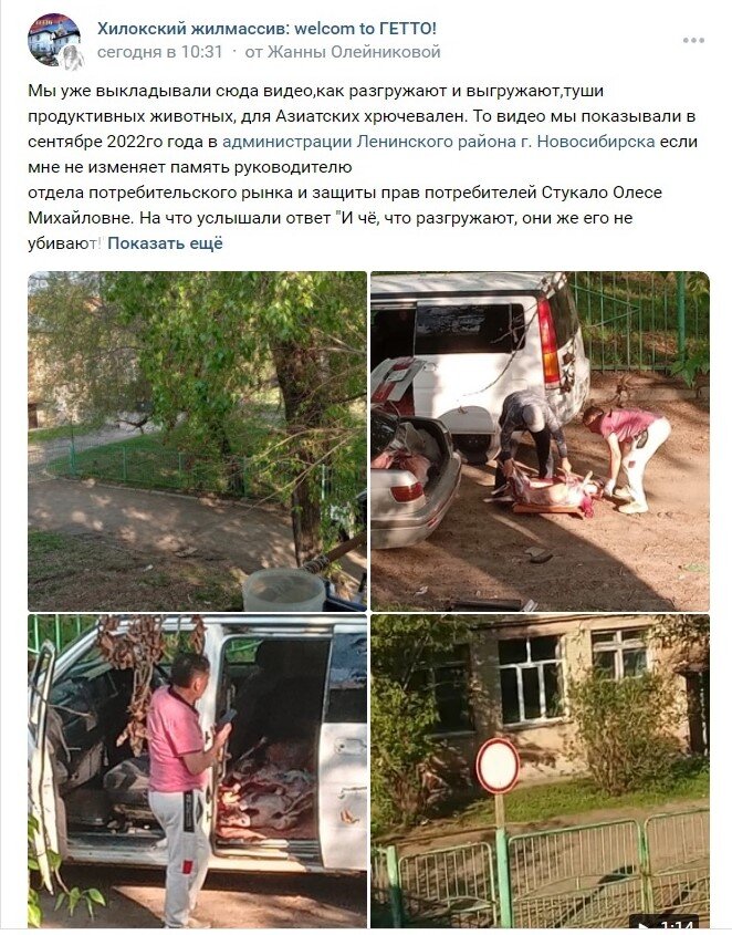 СКРИНШОТ "ХИЛОКСКИЙ ЖИЛМАССИВ: WELCOM TO ГЕТТО!"/ВК