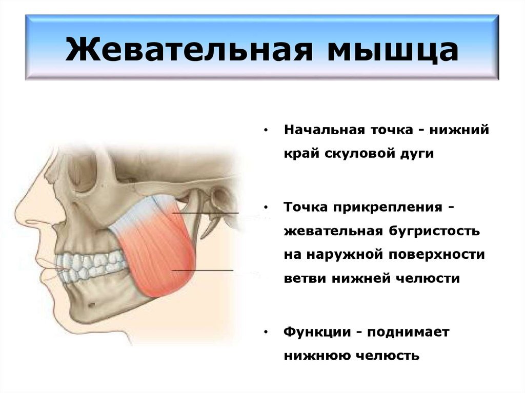 ��������� Sp Labs �������: ����.