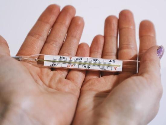     © Фото: ИД «Волгоградская правда» / Сергей Каширский / архив.