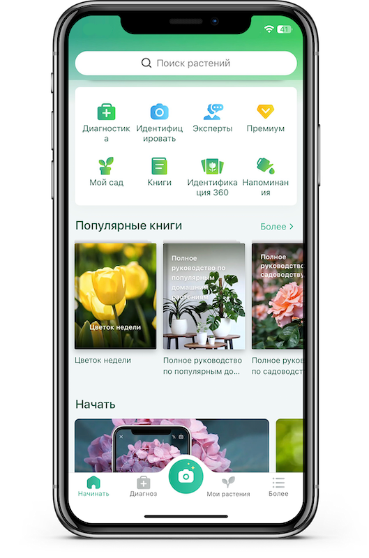 Приложение для распознавания растений по фото. Приложение растения. Приложение для распознавания растений. Приложение цветы. Приложение с цветами.