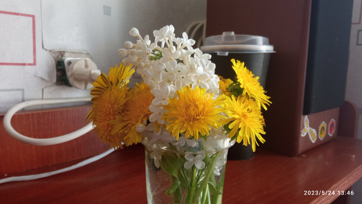 Мои весенний букет